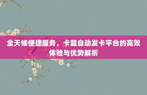 全天候便捷服务，卡盟自动发卡平台的高效体验与优势解析