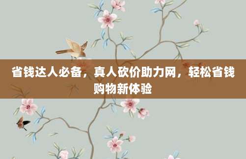 省钱达人必备，真人砍价助力网，轻松省钱购物新体验