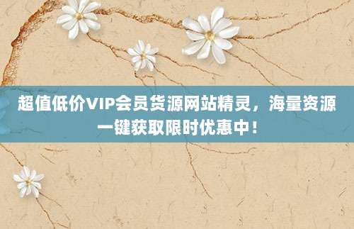 超值低价VIP会员货源网站精灵，海量资源一键获取限时优惠中！