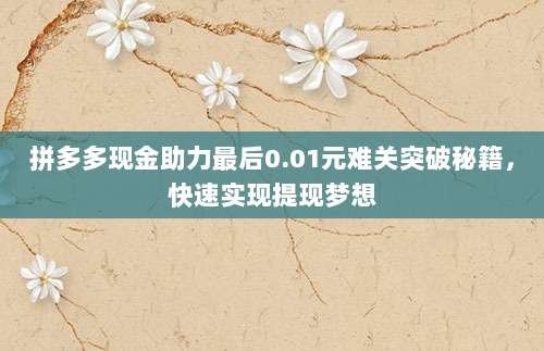 拼多多现金助力最后0.01元难关突破秘籍，快速实现提现梦想