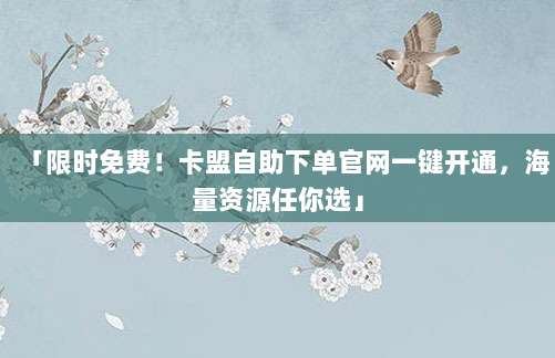 「限时免费！卡盟自助下单官网一键开通，海量资源任你选」
