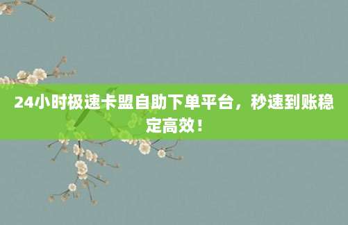 24小时极速卡盟自助下单平台，秒速到账稳定高效！