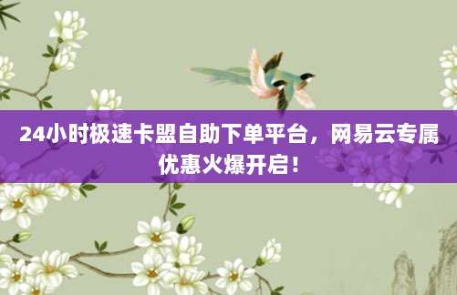 24小时极速卡盟自助下单平台，网易云专属优惠火爆开启！