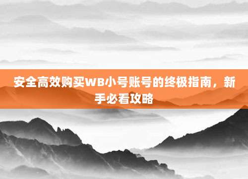 安全高效购买WB小号账号的终极指南，新手必看攻略