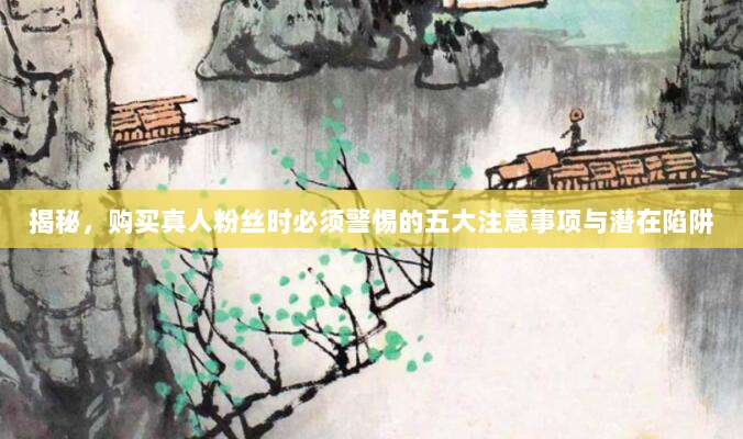 揭秘，购买真人粉丝时必须警惕的五大注意事项与潜在陷阱