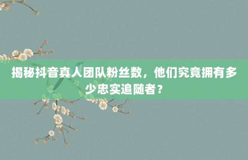 揭秘抖音真人团队粉丝数，他们究竟拥有多少忠实追随者？