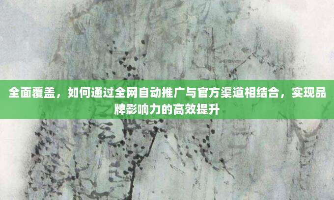 全面覆盖，如何通过全网自动推广与官方渠道相结合，实现品牌影响力的高效提升