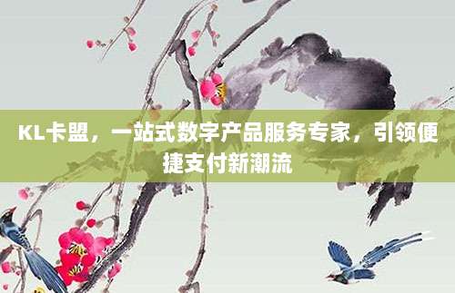 KL卡盟，一站式数字产品服务专家，引领便捷支付新潮流