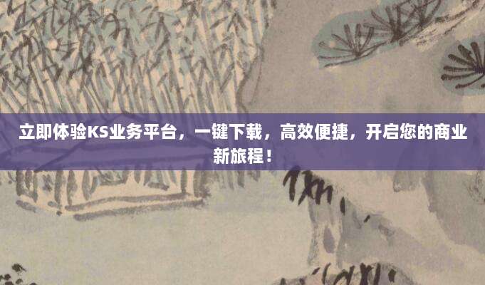 立即体验KS业务平台，一键下载，高效便捷，开启您的商业新旅程！