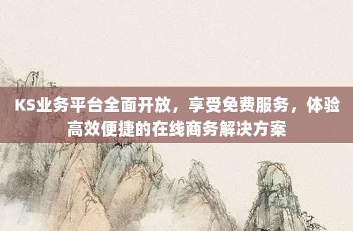 KS业务平台全面开放，享受免费服务，体验高效便捷的在线商务解决方案