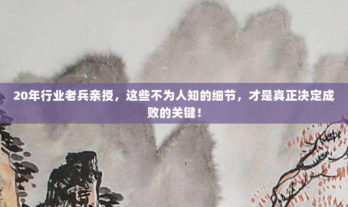 20年行业老兵亲授，这些不为人知的细节，才是真正决定成败的关键！