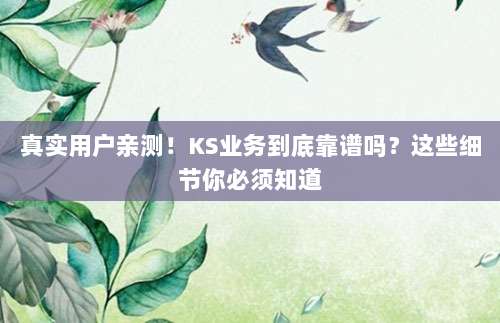 真实用户亲测！KS业务到底靠谱吗？这些细节你必须知道
