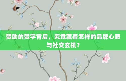 赞助的赞字背后，究竟藏着怎样的品牌心思与社交玄机？