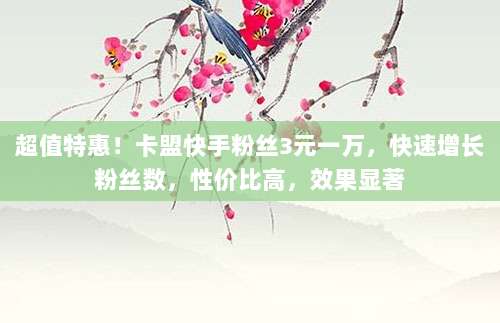 超值特惠！卡盟快手粉丝3元一万，快速增长粉丝数，性价比高，效果显著