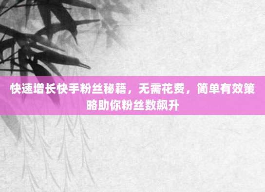 快速增长快手粉丝秘籍，无需花费，简单有效策略助你粉丝数飙升